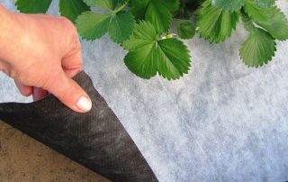 Spunbond: qu'est-ce que c'est, possibilités matérielles et efficacité d'utilisation