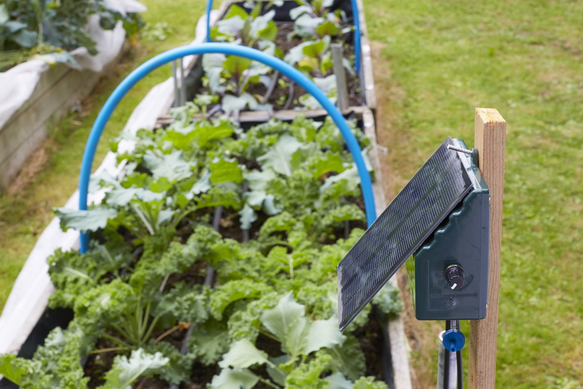 Ang mga awtomatikong sistema ng irigasyon ay may mga sensor na sumusukat sa kahalumigmigan at samakatuwid ay patayin kapag umuulan Ang mga awtomatikong sistema ng irigasyon ay may mga sensor na sumusukat sa kahalumigmigan at samakatuwid ay patayin kapag umuulan