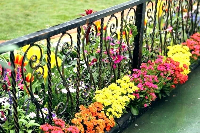 Kovový plot vám umožňuje vytvárať štýlové kompozície na webe Kovový plot vám umožňuje vytvárať štýlové kompozície na webe