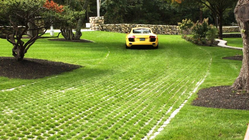La geomalla està coberta d’herba o està especialment coberta de plantes de creixement ràpid La geomalla està coberta d’herba o està especialment coberta de plantes de creixement ràpid