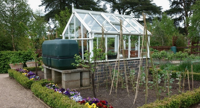Hvis du installerer en beholder med tilstrekkelig stort volum, kan du ikke bare vanne drivhuset, men også andre senger fra det. Hvis du installerer en beholder med tilstrekkelig stort volum, kan du ikke bare vanne drivhuset, men også andre senger fra det.