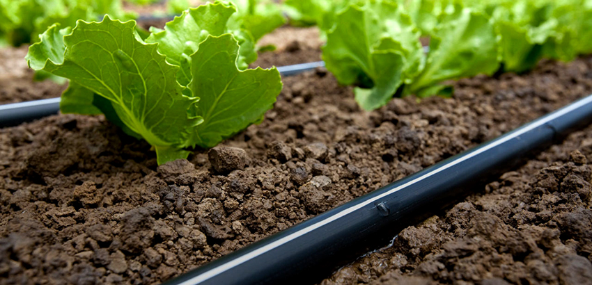 Drypprør av polypropylen er foretrukket Drypprør av polypropylen er foretrukket