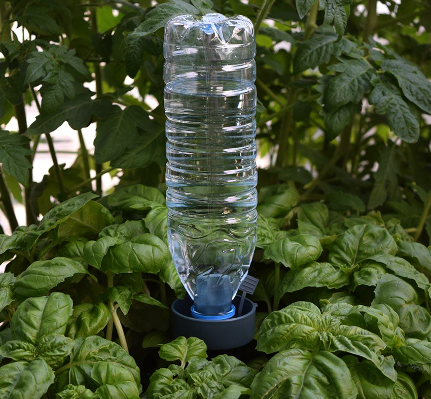 Drypp vanning fra plastflasker kan være rot og overflate Drypp vanning fra plastflasker kan være rot og overflate