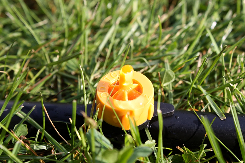 Takket være drypp vanningsanlegget strømmer vann direkte under plantens røtter Takket være drypp vanningsanlegget strømmer vann direkte under plantens røtter