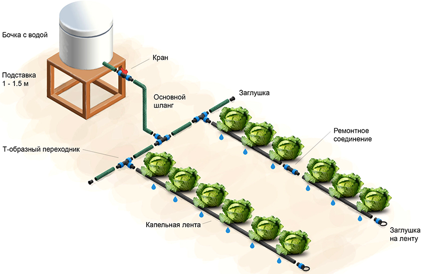 Ordningen med dryppesystemet for vanning Aquadusya Ordningen med dryppesystemet for vanning Aquadusya