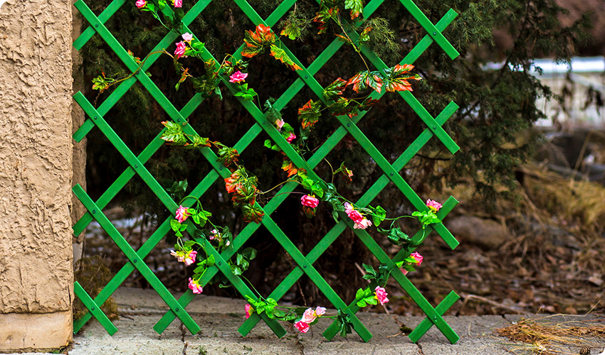 Jos rakennetta tarvitaan yksinomaan kasvien tukemiseen, voit asentaa ristikon pergolan Jos rakennetta tarvitaan yksinomaan kasvien tukemiseen, voit asentaa ristikon pergolan