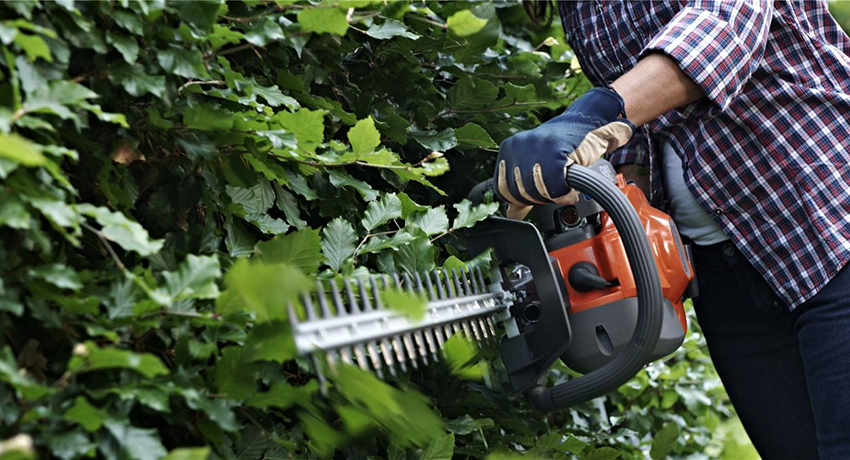 Pin Bosch sạc nhanh và bền lâu Pin Bosch sạc nhanh và bền lâu