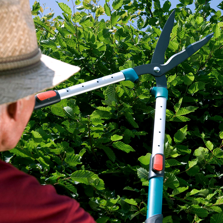 Bàn chải cơ học là loại phổ biến nhất trong tất cả các kiểu máy Bàn chải cơ học là loại phổ biến nhất trong tất cả các kiểu máy