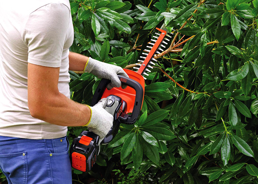 Máy cắt tỉa bàn chải xăng cũng có thể được sử dụng để cắt tỉa cây và cắt cỏ Máy cắt tỉa bàn chải xăng cũng có thể được sử dụng để cắt tỉa cây và cắt cỏ