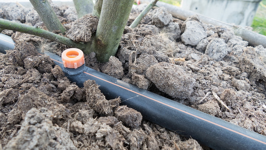 แต่ละวิธีในการจ่ายน้ำให้กับระบบรากของพืชมีทั้งข้อดีและข้อเสีย แต่ละวิธีในการจ่ายน้ำให้กับระบบรากของพืชมีทั้งข้อดีและข้อเสีย