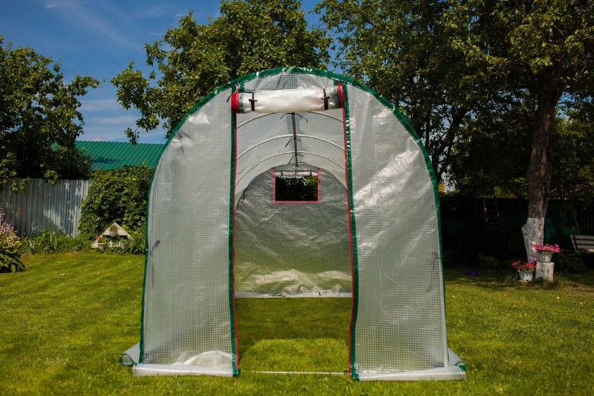 ฟิล์มเสริมความแข็งแรงสำหรับเรือนกระจกซึ่งราคาอยู่ในช่วงราคากลางสามารถอยู่ได้ตั้งแต่ 3 ถึง 6 ปี ฟิล์มเสริมความแข็งแรงสำหรับเรือนกระจกซึ่งราคาอยู่ในช่วงราคากลางสามารถอยู่ได้ตั้งแต่ 3 ถึง 6 ปี