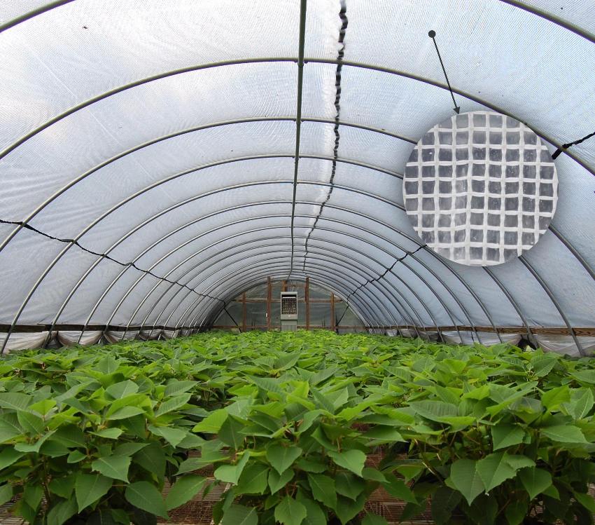 เมื่อซื้อฟิล์มเสริมความแข็งแรงสิ่งสำคัญคือต้องใส่ใจกับสีสำหรับใช้ในเรือนกระจกวัสดุต้องเป็นสีขาว เมื่อซื้อฟิล์มเสริมแรงสิ่งสำคัญคือต้องใส่ใจกับสีสำหรับใช้ในเรือนกระจกวัสดุต้องเป็นสีขาว