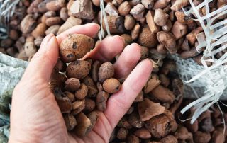 ดินเหนียวขยายตัวในถุงหรือจำนวนมาก: วิธีคำนวณปริมาตรของวัสดุอย่างถูกต้อง