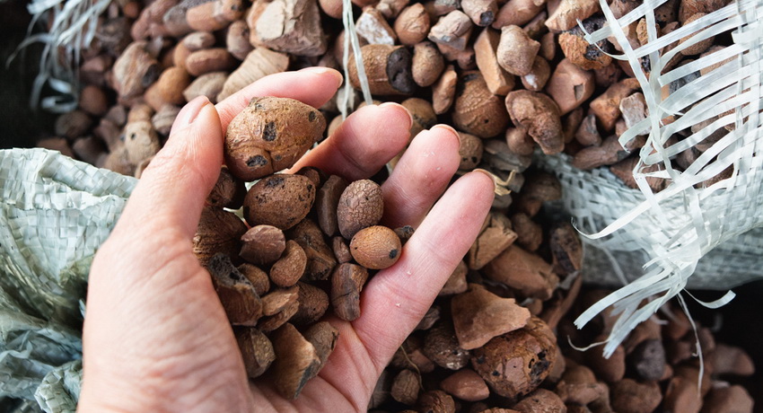 Argila expandată este un material multifuncțional utilizat în mod obișnuit în construcții, proiectarea peisajelor și lucrările agricole Lut expandat în saci sau în vrac: cum se calculează corect volumul de material