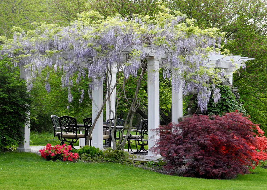 Kun ostat pergolaa, sinun on kiinnitettävä huomiota sen kokoon, materiaaliin ja muotoiluun Kun ostat pergolaa, sinun on kiinnitettävä huomiota sen kokoon, materiaaliin ja muotoiluun