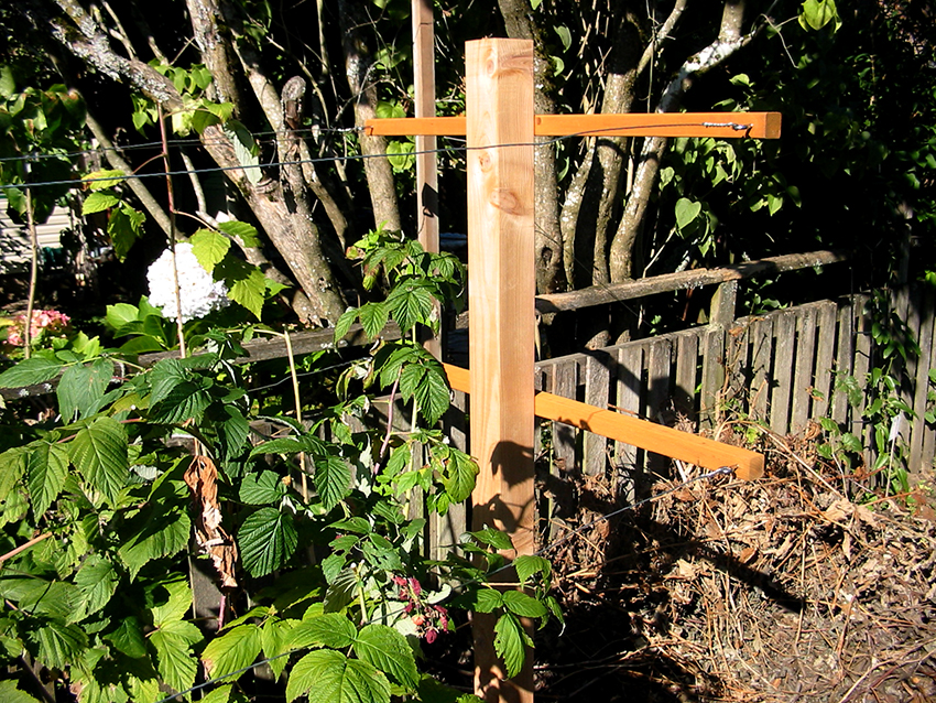 Ang isang two-lane trellis ay binubuo ng dalawang mga hilera ng mga wire na nakaunat na parallel sa bawat isa Ang isang two-lane trellis ay binubuo ng dalawang mga hilera ng mga wire na nakaunat na parallel sa bawat isa