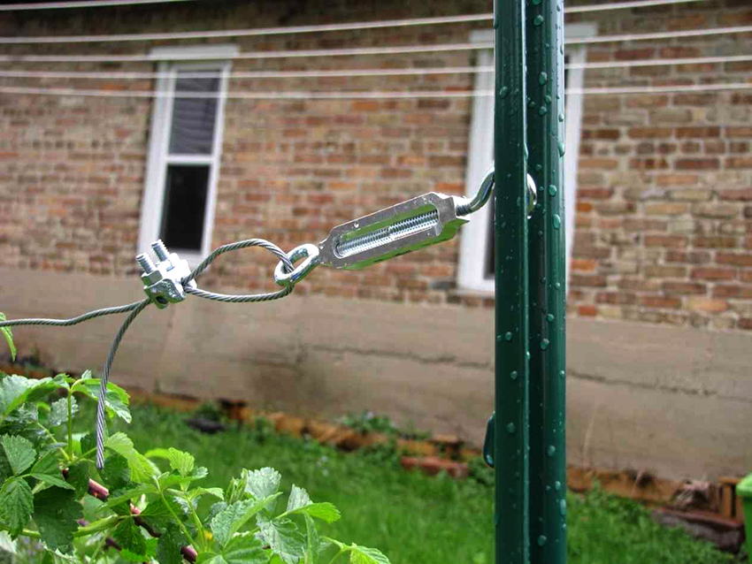 Ang pinakasimpleng trellis ay ang mga dug-in na post, sa pagitan ng kung saan ang isang kawad ay nakaunat at nakakabit sa 2 mga hilera Ang pinakasimpleng trellis ay ang mga dug-in na post, sa pagitan ng kung saan ang isang kawad ay nakaunat at nakakabit sa 2 mga hilera