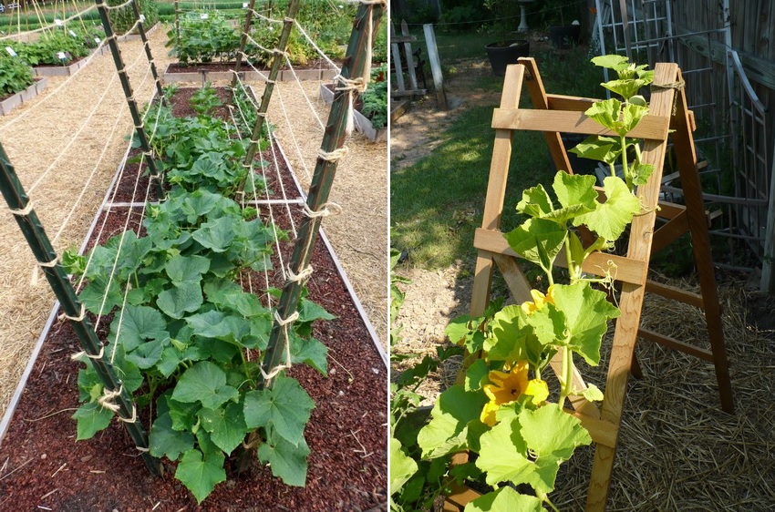 Η αξιοπιστία και η ανθεκτικότητα της δομής πέργκολας εξαρτάται από το υλικό και τη μέθοδο εγκατάστασης - υπάρχουν τόσο προσωρινές όσο και μόνιμες επιλογές Η αξιοπιστία και η ανθεκτικότητα της δομής πέργκολας εξαρτάται από το υλικό και τη μέθοδο εγκατάστασης - υπάρχουν τόσο προσωρινές όσο και μόνιμες επιλογές