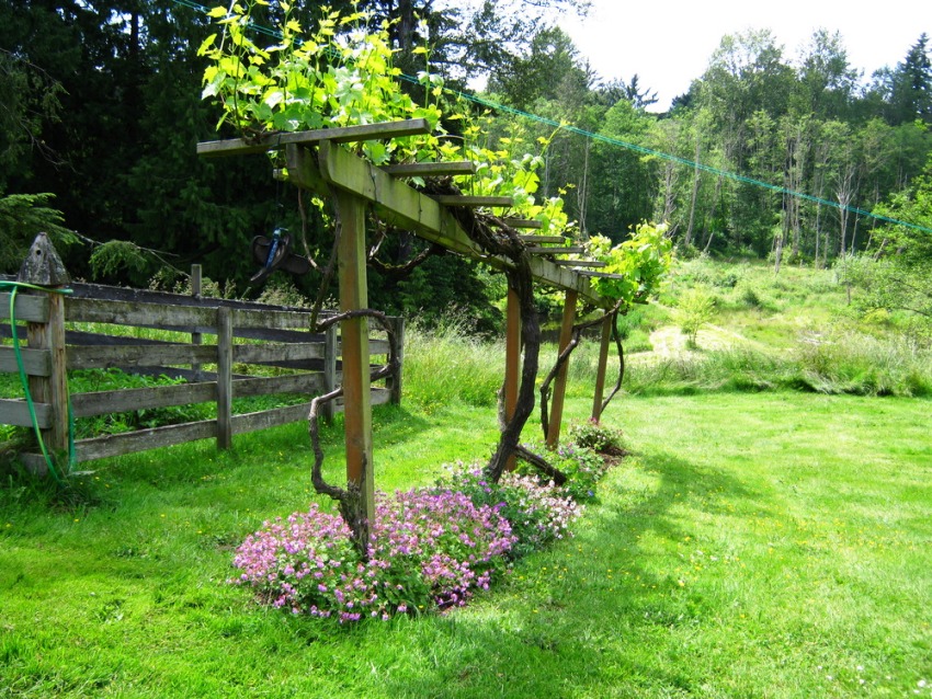 Puulohkoille on tehtävä pakollinen käsittely maaperän mätänemistä vastaan Puulohkoille on tehtävä pakollinen käsittely maaperän mätänemistä vastaan