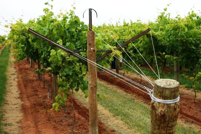 Y-muotoinen kaksitasoinen ristikko on muodostettu pylvään yläosaan 45 asteen kulmassa Y-muotoinen kaksitasoinen ristikko on muodostettu pylvään yläosaan 45 asteen kulmassa