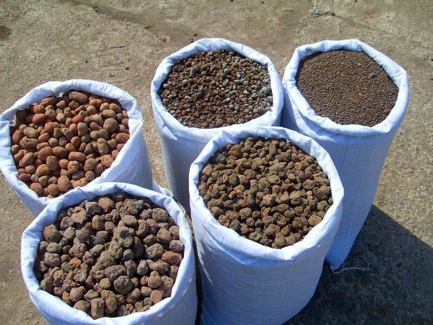 Si necessiteu comprar material netejat d’alta qualitat, haureu de preferir l’argila expandida de les bosses Si necessiteu comprar material netejat d’alta qualitat, haureu de preferir l’argila expandida de les bosses