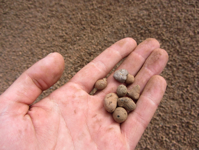 L’argila expandida s’obté a partir de l’argila cuinant-la al forn, a causa de la qual el material adquireix una estructura lleugera i porosa L’argila expandida s’obté a partir de l’argila cuinant-la al forn, a causa de la qual el material adquireix una estructura lleugera i porosa