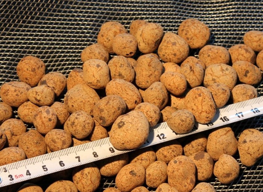 L’argila expandida s’utilitza àmpliament per a treballs d’aïllament i construcció de tot tipus L’argila expandida s’utilitza àmpliament per a treballs d’aïllament i construcció de tot tipus