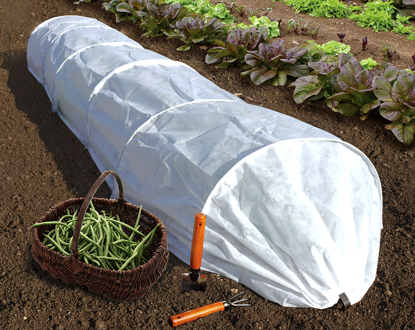 Jos päällystemateriaali on riittävän tiheä, siitä voidaan tehdä pieni kasvihuone. Jos päällystemateriaali on riittävän tiheä, siitä voidaan tehdä pieni kasvihuone.