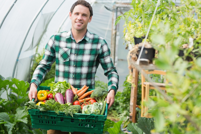 Το Agrofibre που χρησιμοποιείται για θερμοκήπια αυξάνει τις αποδόσεις Το Agrofibre που χρησιμοποιείται για θερμοκήπια αυξάνει τις αποδόσεις