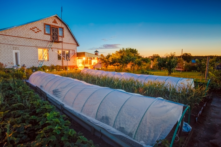 Για να επιτευχθεί το μέγιστο αποτέλεσμα, το agrofiber πρέπει να εγκατασταθεί σωστά Για να επιτευχθεί το μέγιστο αποτέλεσμα, το agrofibre πρέπει να είναι σωστά τοποθετημένο