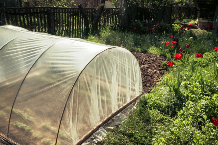 Η Agrotex διατηρεί τη θερμότητα καλά και μεταδίδει έως και 90% του ηλιακού φωτός Η Agrotex διατηρεί τη θερμότητα καλά και μεταδίδει έως και 90% του ηλιακού φωτός