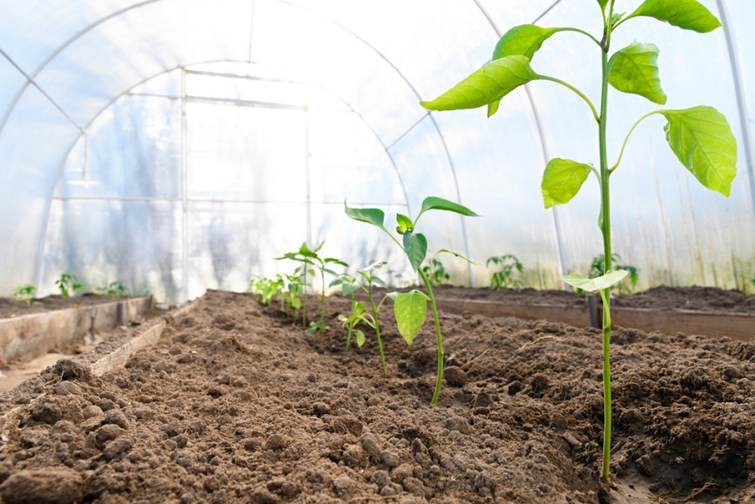 Μπορείτε να στερεώσετε το υλικό κάλυψης με οποιονδήποτε βολικό τρόπο Μπορείτε να στερεώσετε το υλικό κάλυψης με οποιονδήποτε βολικό τρόπο