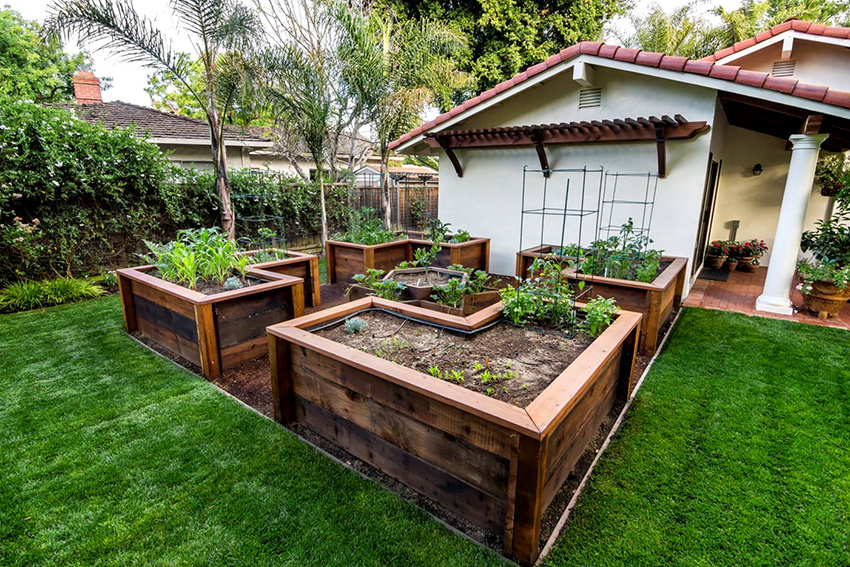 Ha a talaj nem alkalmas növények termesztésére, akkor fekete talajú edényeket lehet elhelyezni Ha a talaj nem alkalmas növények termesztésére, akkor fekete talajú edényeket lehet elhelyezni