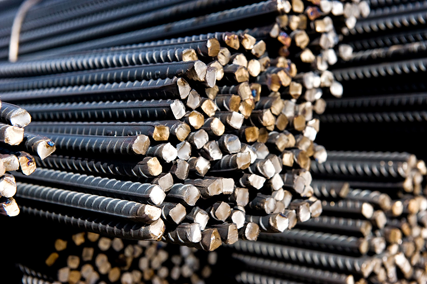 กระดองแบ่งออกเป็นหลายชั้นซึ่งแต่ละประเภทมีลักษณะเฉพาะของตัวเอง กระดองแบ่งออกเป็นหลายชั้นซึ่งแต่ละประเภทมีลักษณะเฉพาะของตัวเอง