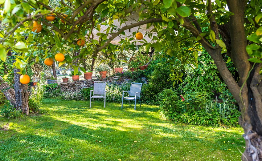 สิ่งสำคัญในการออกแบบกระท่อมฤดูร้อนคือการปรับพื้นที่ให้เหมาะสมซึ่งช่วยให้คุณสร้างมุมที่ดูน่าอยู่และสะดวกสบาย สิ่งสำคัญในการออกแบบกระท่อมฤดูร้อนคือการปรับพื้นที่ให้เหมาะสมซึ่งช่วยให้คุณสร้างมุมที่ดูน่าอยู่และสะดวกสบาย