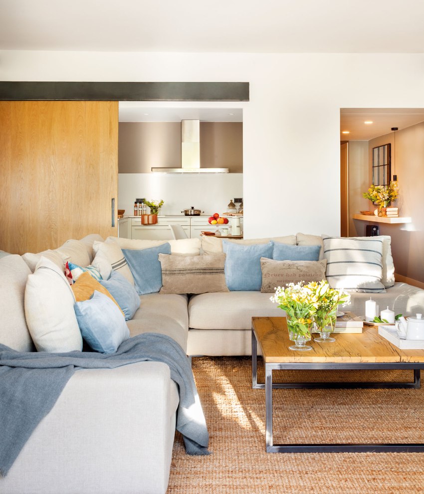 העיצוב של דלתות פנים מעוצבות הוא יריעה מונוליטית העשויה מחומר אחד העיצוב של דלתות פנים מעוצבות הוא יריעה מונוליטית העשויה מחומר אחד