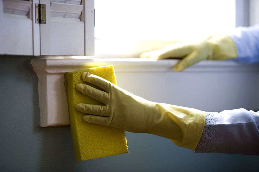 In order for the window sill to remain clean and attractive, it is enough to treat it with a damp sponge with ordinary detergents In order for the window sill to remain clean and attractive, it is enough to treat it with a damp sponge with ordinary detergents