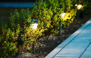 פנס רחוב לד: תאורת העתיד