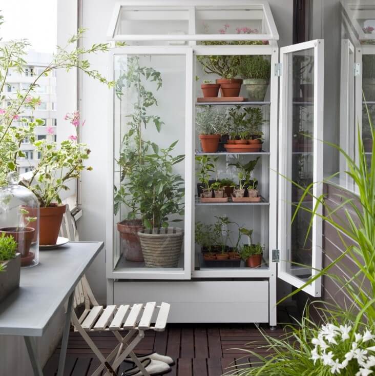 Za sadnice trebate zatvoreni stalak u kojem se umjesto listova šperploče ili metala koristi staklo Za sadnice trebate zatvoreni stalak u kojem se umjesto listova šperploče ili metala koristi staklo