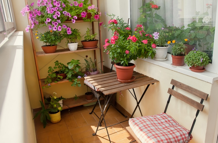 Da biste spremili velik broj cvijeća na balkon, ne možete bez stalka Da biste spremili velik broj cvijeća na balkon, ne možete bez stalka