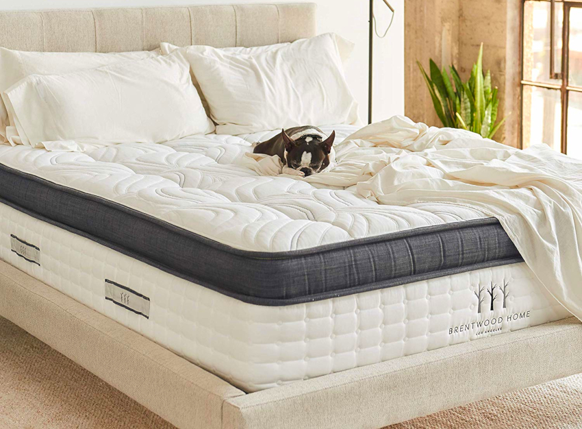 The word mattress originated in German and meant soft quilted bedding The word mattress originated in German and meant soft quilted bedding