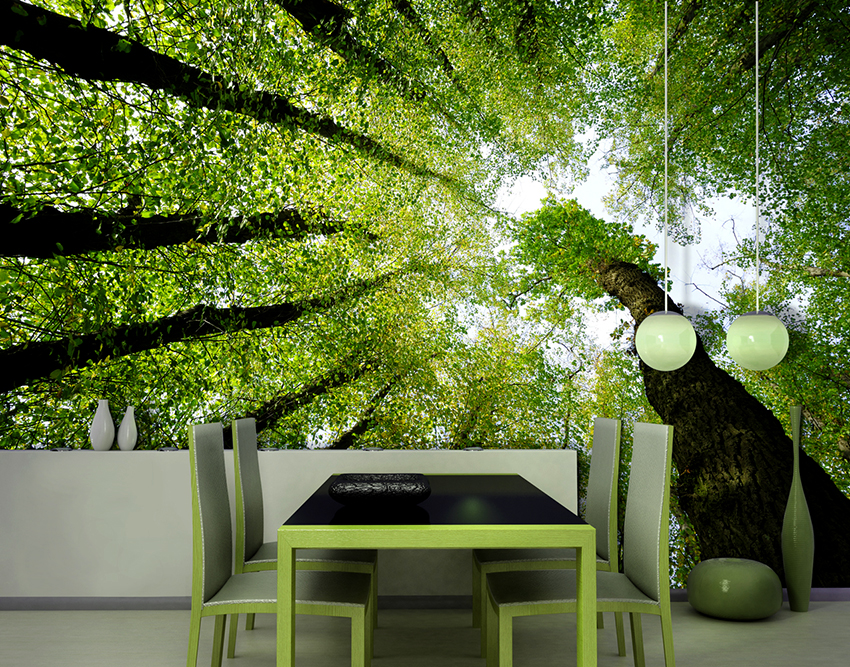 Teisingai parinkti tapetai puikiai tiks bet kokiam interjerui Teisingai parinkti tapetai puikiai tiks bet kokiam interjerui