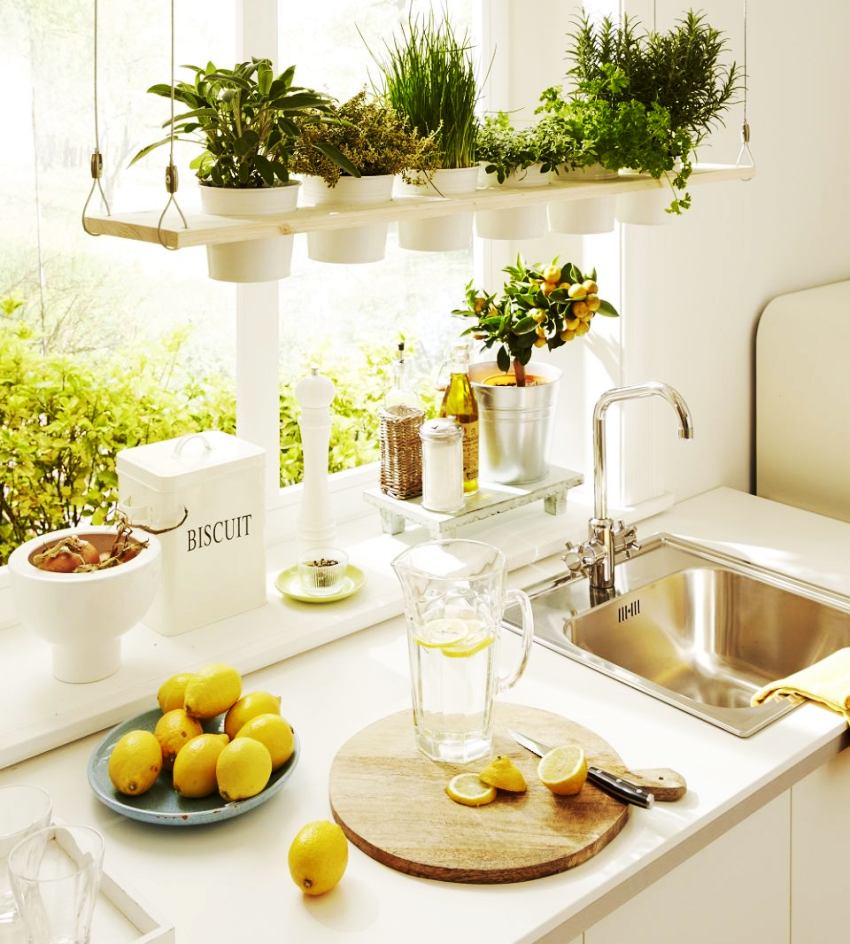 Hængende blomsterpotter med friske blomster tilføjer et originalt strejf til køkkenets interiør Hængende blomsterpotter med friske blomster tilføjer et originalt strejf til køkkenets interiør