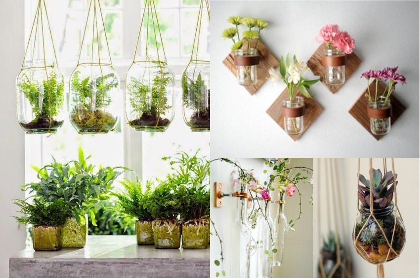 Visse typer planter skal placeres på vinduet i køkkenet Visse typer planter skal placeres på vinduet i køkkenet