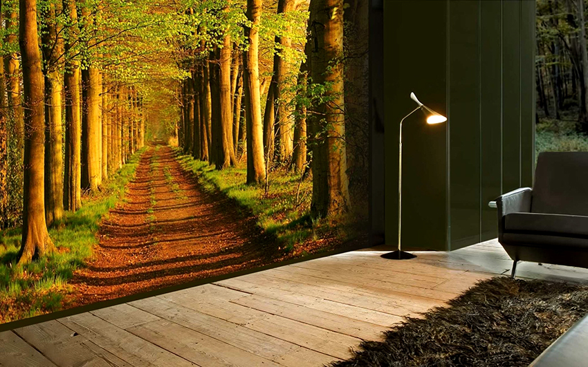 Foto tapeta 3D najrealnija je i omogućuje vam stvaranje atmosfere prisutnosti Foto tapeta 3D najrealnija je i omogućuje vam stvaranje atmosfere prisutnosti