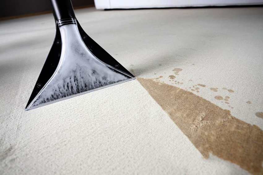 Bạn có thể hút bụi vải sơn, gạch lát, sàn gỗ công nghiệp, thảm, cũng như cửa sổ và đồ nội thất Máy hút bụi có thể làm sạch vải sơn, gạch lát, sàn gỗ công nghiệp, thảm, cũng như cửa sổ và đồ nội thất