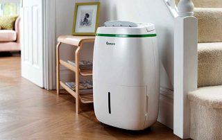 Dehumidifier untuk pangsapuri: cara untuk mewujudkan iklim mikro yang ideal