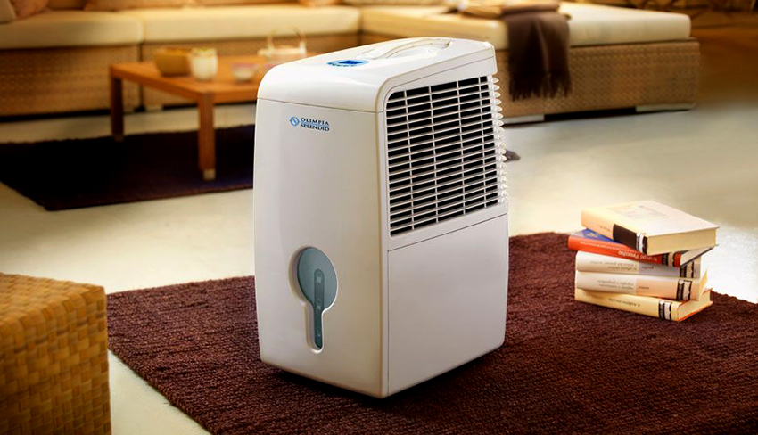 Овлажнителят избягва образуването на мухъл и плесен в апартамента Овлажнителят избягва образуването на мухъл и плесен в апартамента