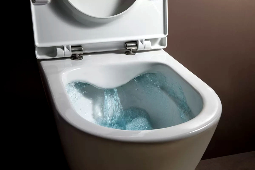 По-добре да си купите седалка от предварително обработена антибактериална пластмаса По-добре да си купите седалка от предварително обработена антибактериална пластмаса