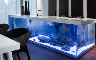 Akvarijný tmel: spoľahlivý a nenahraditeľný pomocník